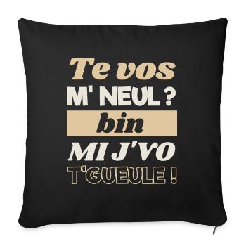 Tes vos m'neul bin mi j'vo t'gueule chti humour - Housse de coussin décorative 45 x 45 cm - noir - Devant