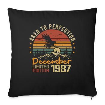 The legends were born in December 1987 - 1987 - Sofa pillowcase 17,3'' x 17,3'' (45 x 45 cm) - black - Front