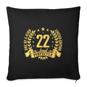 22 years birthday gift 22 years - Sofa pillowcase 17,3'' x 17,3'' (45 x 45 cm) - black - Front