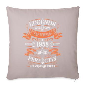 Authentic & Individual since September 1958 - Sofa pillowcase 17,3'' x 17,3'' (45 x 45 cm) - light taupe - Front