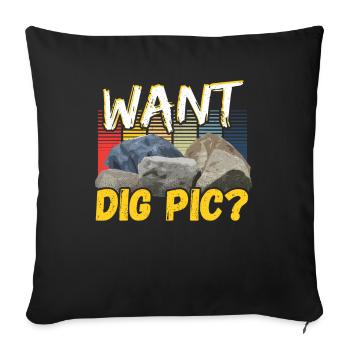 Want Dig Pic? Mineral Collecting Ores Collector - Sofa pillowcase 17,3'' x 17,3'' (45 x 45 cm) - black - Front