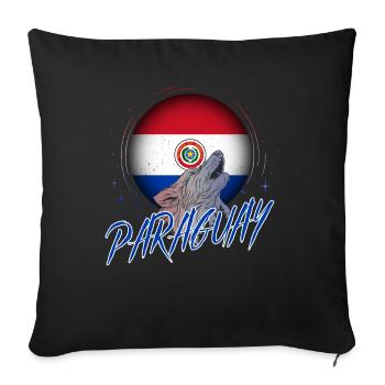 Paraguay - Sofa pillowcase 17,3'' x 17,3'' (45 x 45 cm) - black - Front