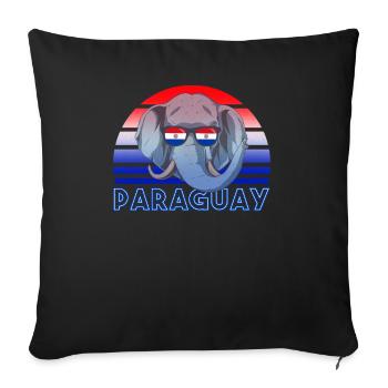 Paraguay - Sofa pillowcase 17,3'' x 17,3'' (45 x 45 cm) - black - Front