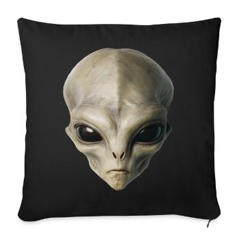Alien Head - Sofa pillowcase 17,3'' x 17,3'' (45 x 45 cm) - black - Front