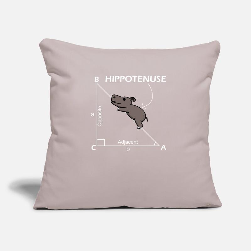 Math Hippotenuse Hypotenuse Math Teacher Sofa pillowcase 17,3'' x 17,3'' (45 x 45 cm)