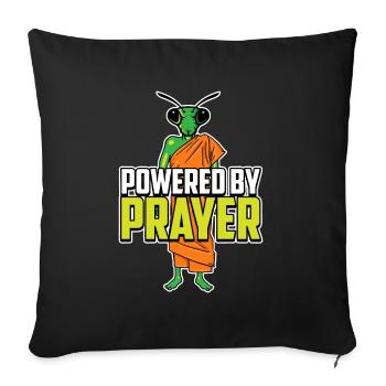 Kung Fu praying mantis - Sofa pillowcase 17,3'' x 17,3'' (45 x 45 cm) - black - Front