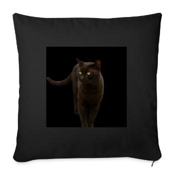 black cat kitten cat - Sofa pillowcase 17,3'' x 17,3'' (45 x 45 cm) - black - Front