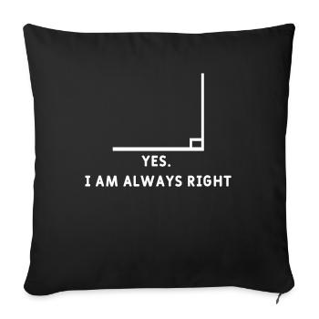 Drôle de prof de maths - Housse de coussin décorative 45 x 45 cm - noir - Devant