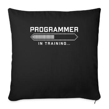 Programmer Coder Software Developer - Sofa pillowcase 17,3'' x 17,3'' (45 x 45 cm) - black - Front