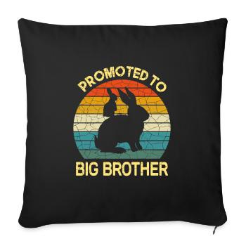 Promoted to big brother bunny Gift, baby Rabbit - Sofa pillowcase 17,3'' x 17,3'' (45 x 45 cm) - black - Front