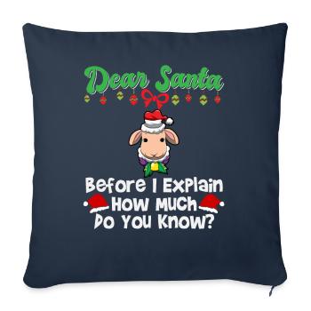 Cher Père Noël avant que j’explique combien savez-vous - Housse de coussin décorative 45 x 45 cm - bleu marine - Devant