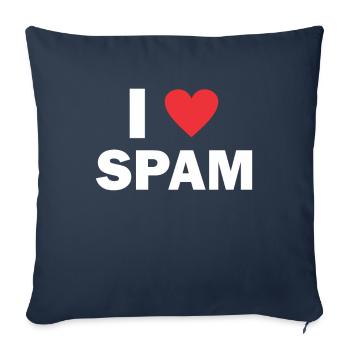 Spam mail email cadeau d'anniversaire - Housse de coussin décorative 45 x 45 cm - bleu marine - Devant