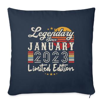 Legendary since January 2023 Limited Edition - Sofa pillowcase 17,3'' x 17,3'' (45 x 45 cm) - navy - Front