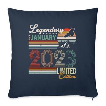 Legendary since January 2023 - Sofa pillowcase 17,3'' x 17,3'' (45 x 45 cm) - navy - Front