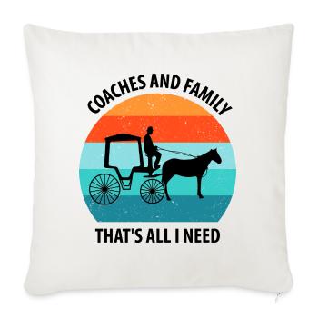 Coachman Carriage Horse-drawn carriage Carriage - Sofa pillowcase 17,3'' x 17,3'' (45 x 45 cm) - natural white - Front