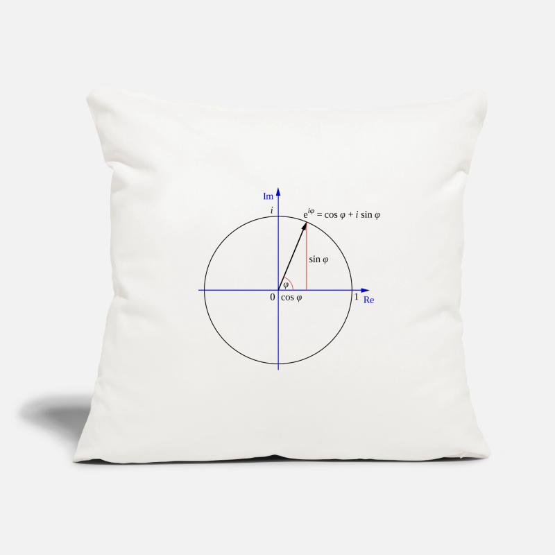 Formule d'Euler Housse de coussin décorative 45 x 45 cm