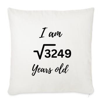 √3249 – 57 and smarter than ever - Sofa pillowcase 17,3'' x 17,3'' (45 x 45 cm) - natural white - Front