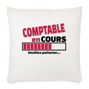 comptable en cours - Housse de coussin décorative 45 x 45 cm - blanc nature - Devant