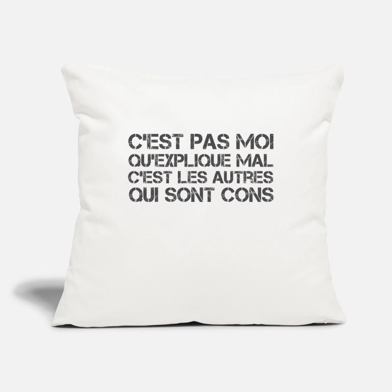 C'est pas moi qu'explique mal Housse de coussin décorative 45 x 45 cm