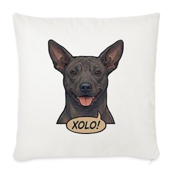 Xoloitzcuintli Dog Retro Vintage Comic Design - Sofa pillowcase 17,3'' x 17,3'' (45 x 45 cm) - natural white - Front