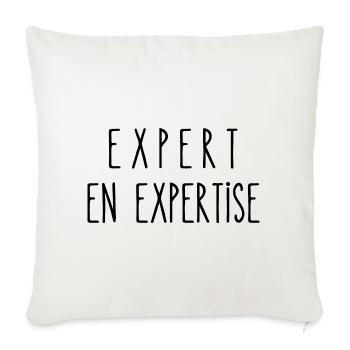 expert en expertise - Housse de coussin décorative 45 x 45 cm - blanc nature - Devant