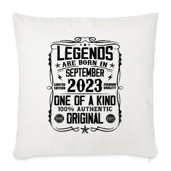 Septembre 2023 Vintage Retro Cadeau d’anniversaire - Housse de coussin décorative 45 x 45 cm - blanc nature - Devant