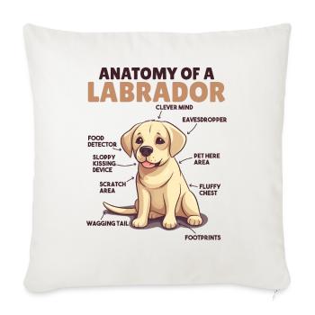 Dog explanation Anatomy of a Labrador - Sofa pillowcase 17,3'' x 17,3'' (45 x 45 cm) - natural white - Front