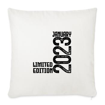 Birthday gift January 2023. January 2023. - Sofa pillowcase 17,3'' x 17,3'' (45 x 45 cm) - natural white - Front
