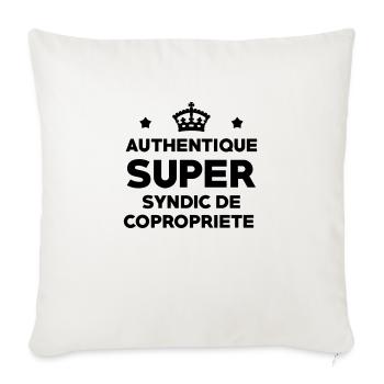 Immobilier / Appartement / Maison / Syndic - Housse de coussin décorative 45 x 45 cm - blanc nature - Devant
