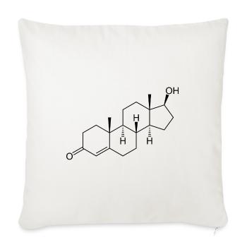 Testosteron Strukturformel - schwarz - Sofakissenbezug 45 x 45 cm - Naturweiß  - Vorne