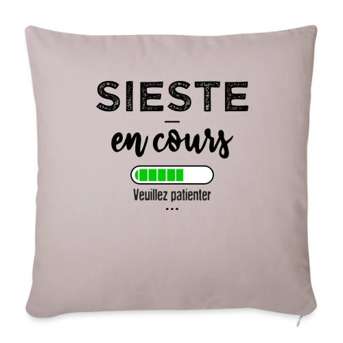 Sieste en cours, ne pas déranger ! - Housse de coussin décorative 45 x 45 cm