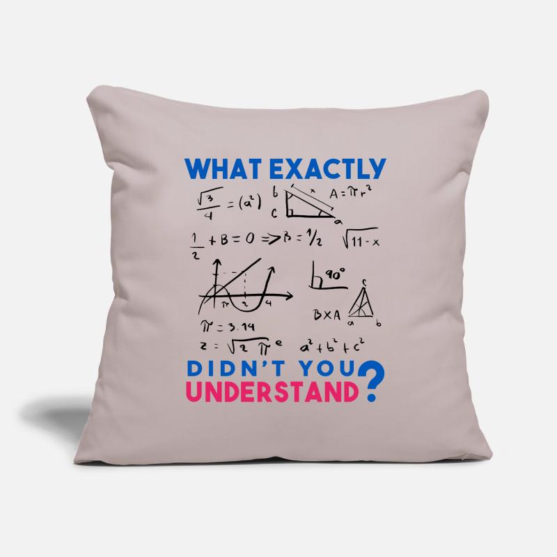 Funny Math Jokes, Physics and Math Formulas Saying Sofa pillowcase 17,3'' x 17,3'' (45 x 45 cm)