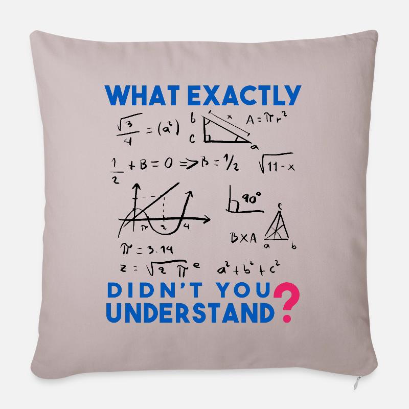 Lustige Mathe Sprüche, Physik und Mathe Formel - Sofakissenbezug 45 x 45 cm - helles Taupe