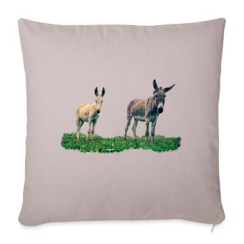 âne - âne - Housse de coussin décorative 45 x 45 cm - taupe clair - Devant