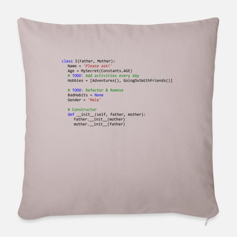 I as python class - Sofakissenbezug 45 x 45 cm - helles Taupe