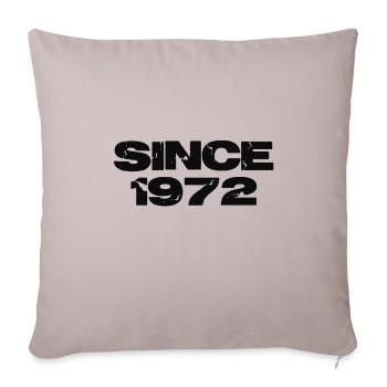 Since 1972 - Sofa pillowcase 17,3'' x 17,3'' (45 x 45 cm) - light taupe - Front