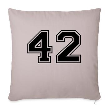 42 - Sofa pillowcase 17,3'' x 17,3'' (45 x 45 cm) - light taupe - Front