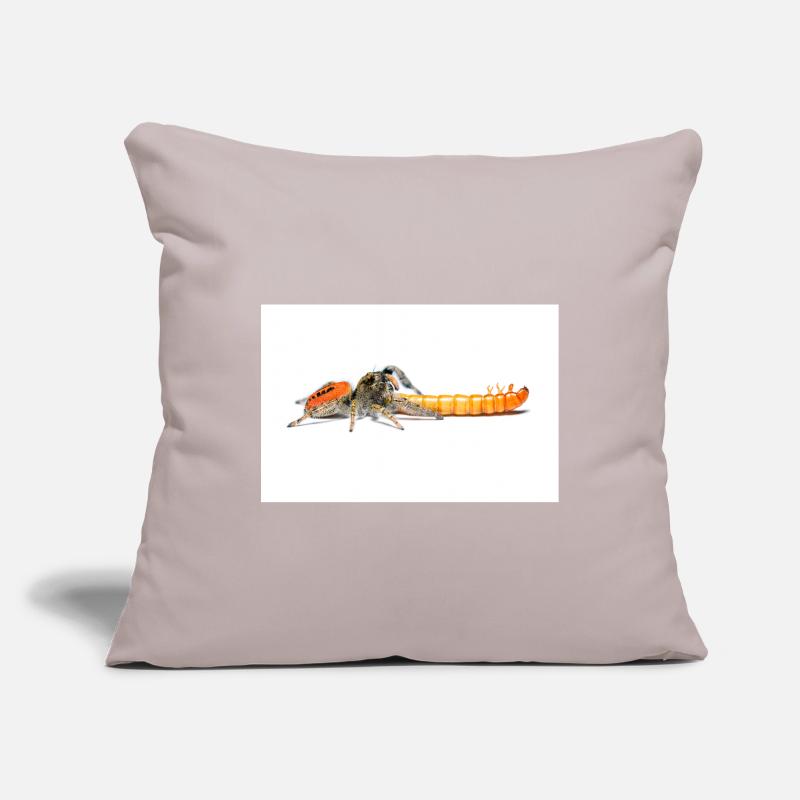 Araignée sauteuse Phidippus texanus araignée sauteuse Housse de coussin décorative 45 x 45 cm