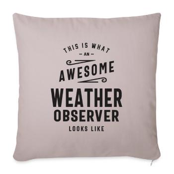 Weather Observer Job Title Occupation Birthday Wor - Sofa pillowcase 17,3'' x 17,3'' (45 x 45 cm) - light taupe - Front