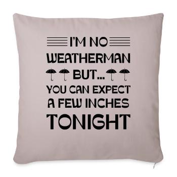 I'm no Weatherman but you can expect a few Inches - Sofa pillowcase 17,3'' x 17,3'' (45 x 45 cm) - light taupe - Front