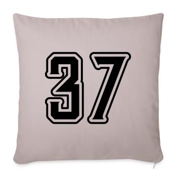 Symbole numérique 37 - Housse de coussin décorative 45 x 45 cm - taupe clair - Devant