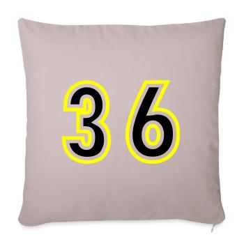 36 Number College - Sofa pillowcase 17,3'' x 17,3'' (45 x 45 cm) - light taupe - Front