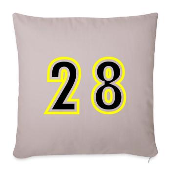 29 Number College - Sofa pillowcase 17,3'' x 17,3'' (45 x 45 cm) - light taupe - Front