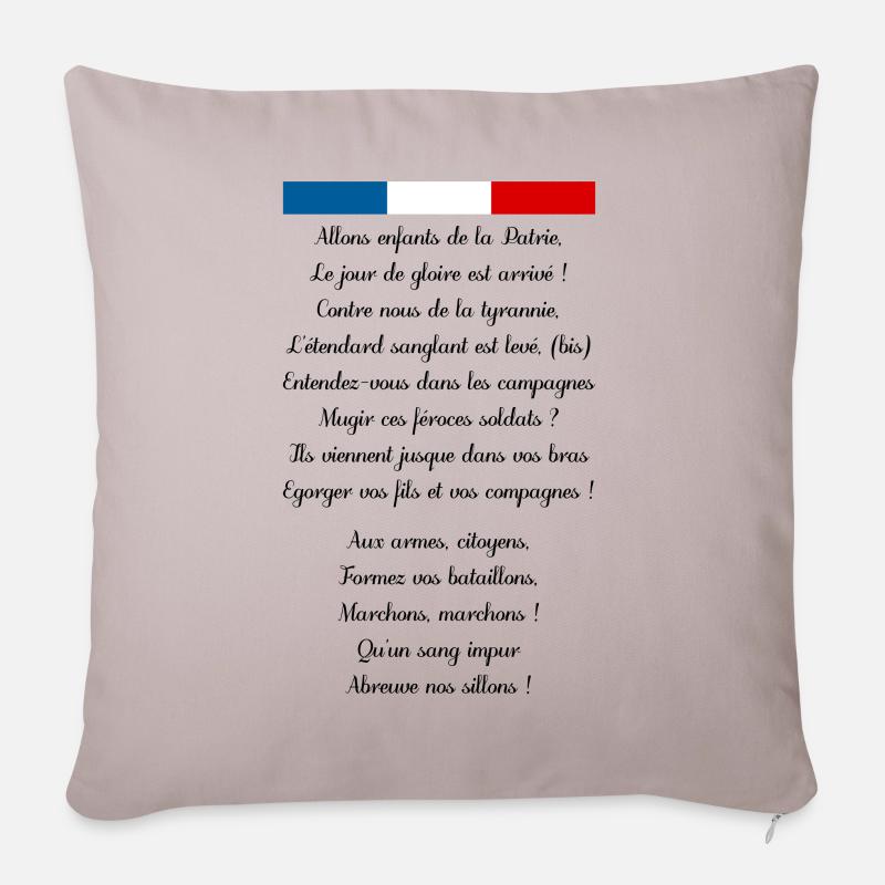 France - Housse de coussin décorative 45 x 45 cm - taupe clair