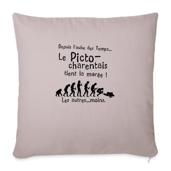 picto charentais maree aube alcool temps humour - Housse de coussin décorative 45 x 45 cm - taupe clair - Devant