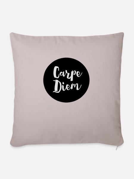 CARPE DIEM - Sofa pillowcase 17,3'' x 17,3'' (45 x 45 cm) - light taupe