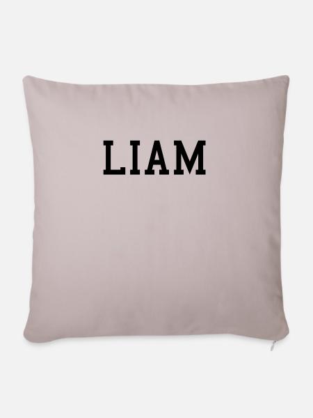 LIAM - Sofakissenbezug 45 x 45 cm - helles Taupe