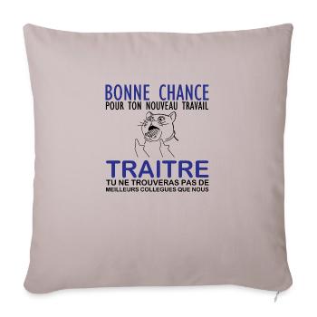 New job departure colleague job good luck - Sofa pillowcase 17,3'' x 17,3'' (45 x 45 cm) - light taupe - Front