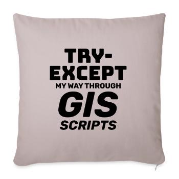 Scripts SIG Programmation Essayer sauf le débogage - Housse de coussin décorative 45 x 45 cm - taupe clair - Devant