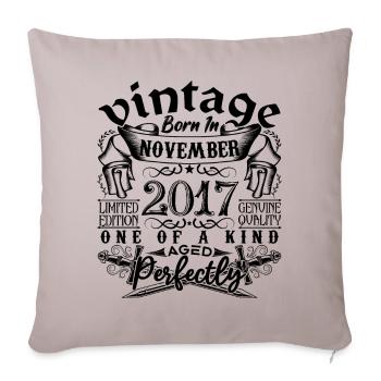 Birthday 2017 November 2017 born in November - Sofa pillowcase 17,3'' x 17,3'' (45 x 45 cm) - light taupe - Front